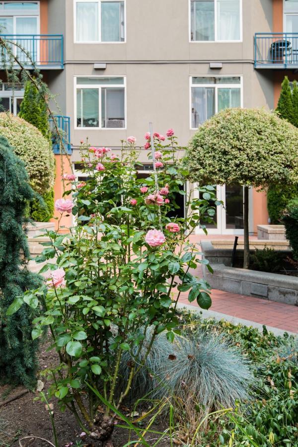 City Water View Oasis With Pool & Gym Near Cruise In Heart Of Seattle Exterior foto